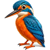 Azure the kingfisher