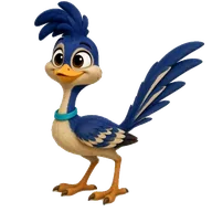 Beep the roadrunner