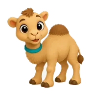 Dune the camel