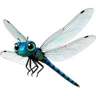 Flit the dragonfly