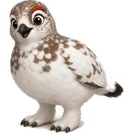 Flurry the ptarmigan